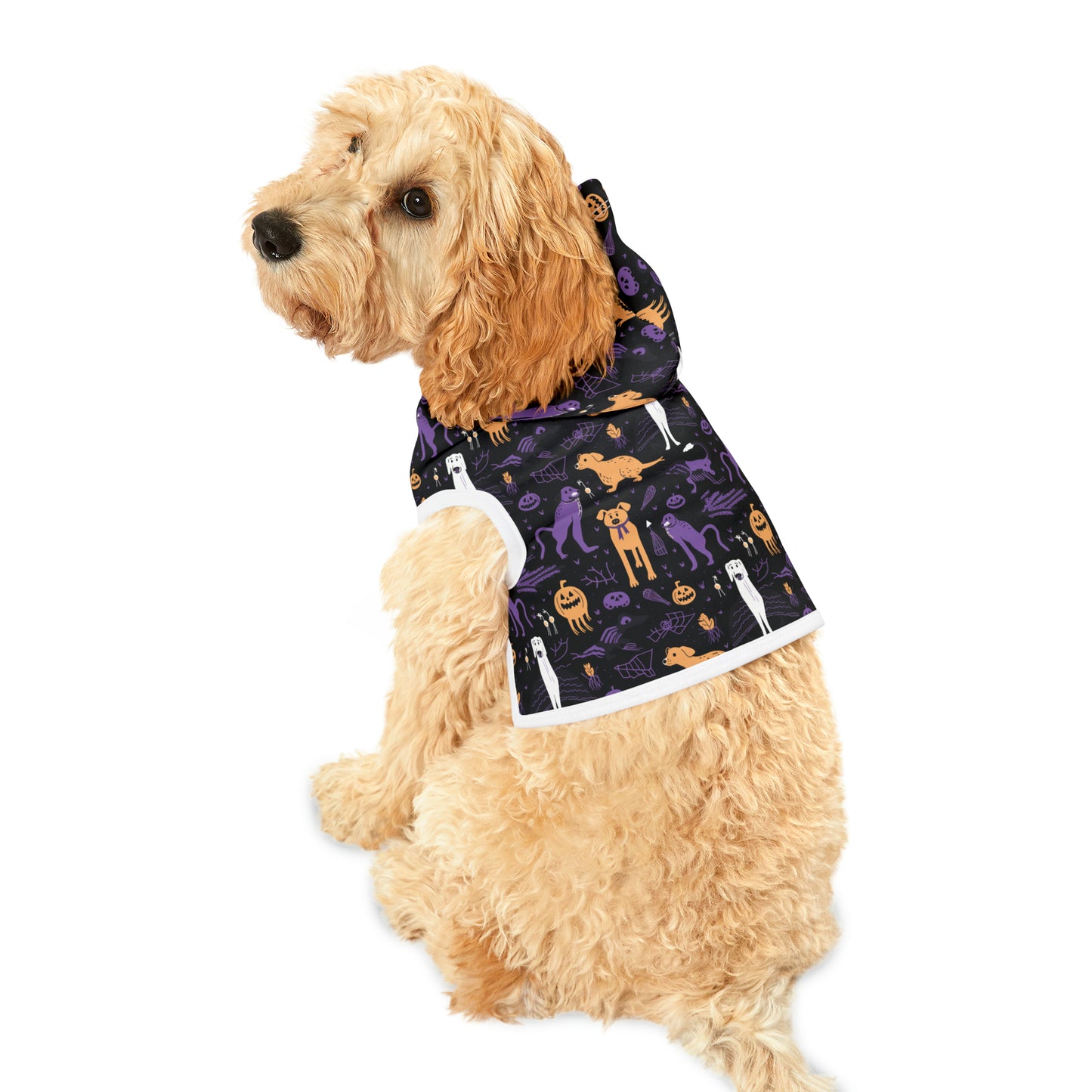 Halloween Dog Hoodie
