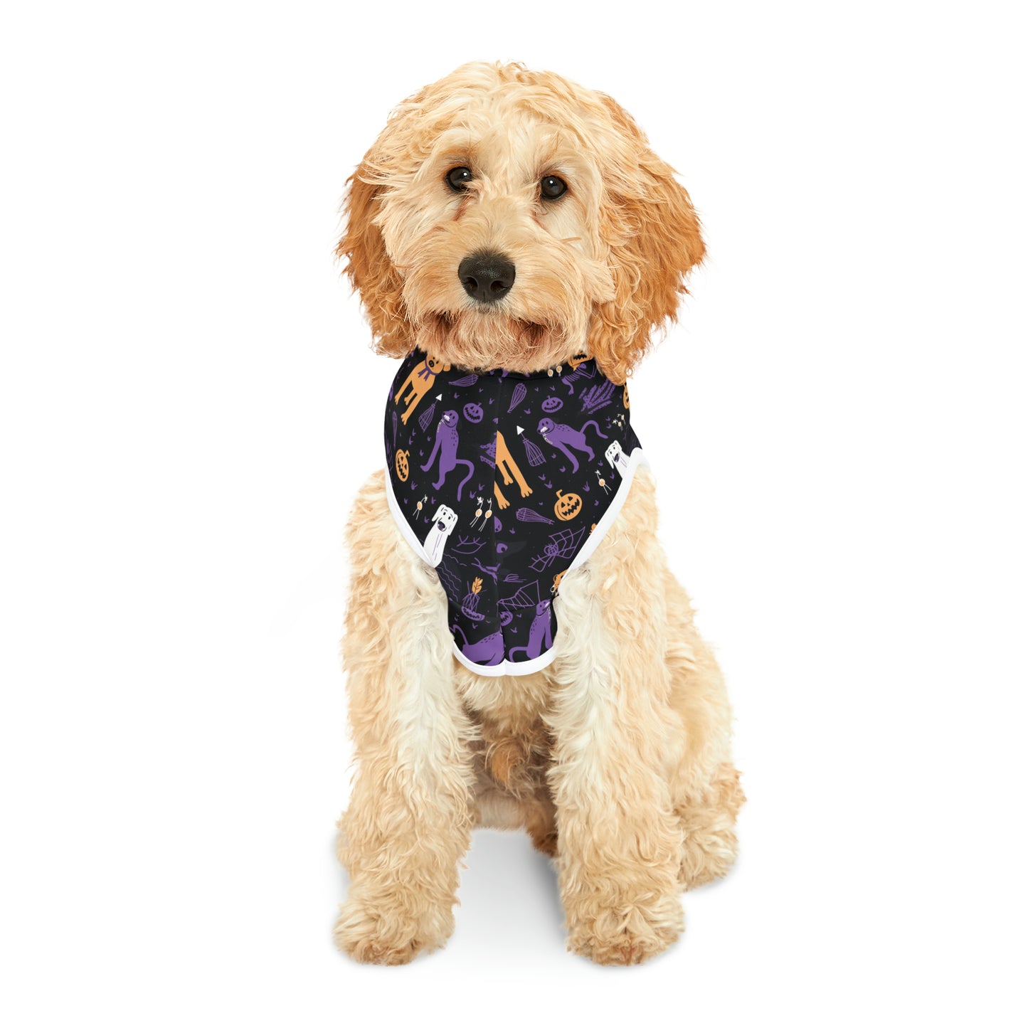 Halloween Dog Hoodie