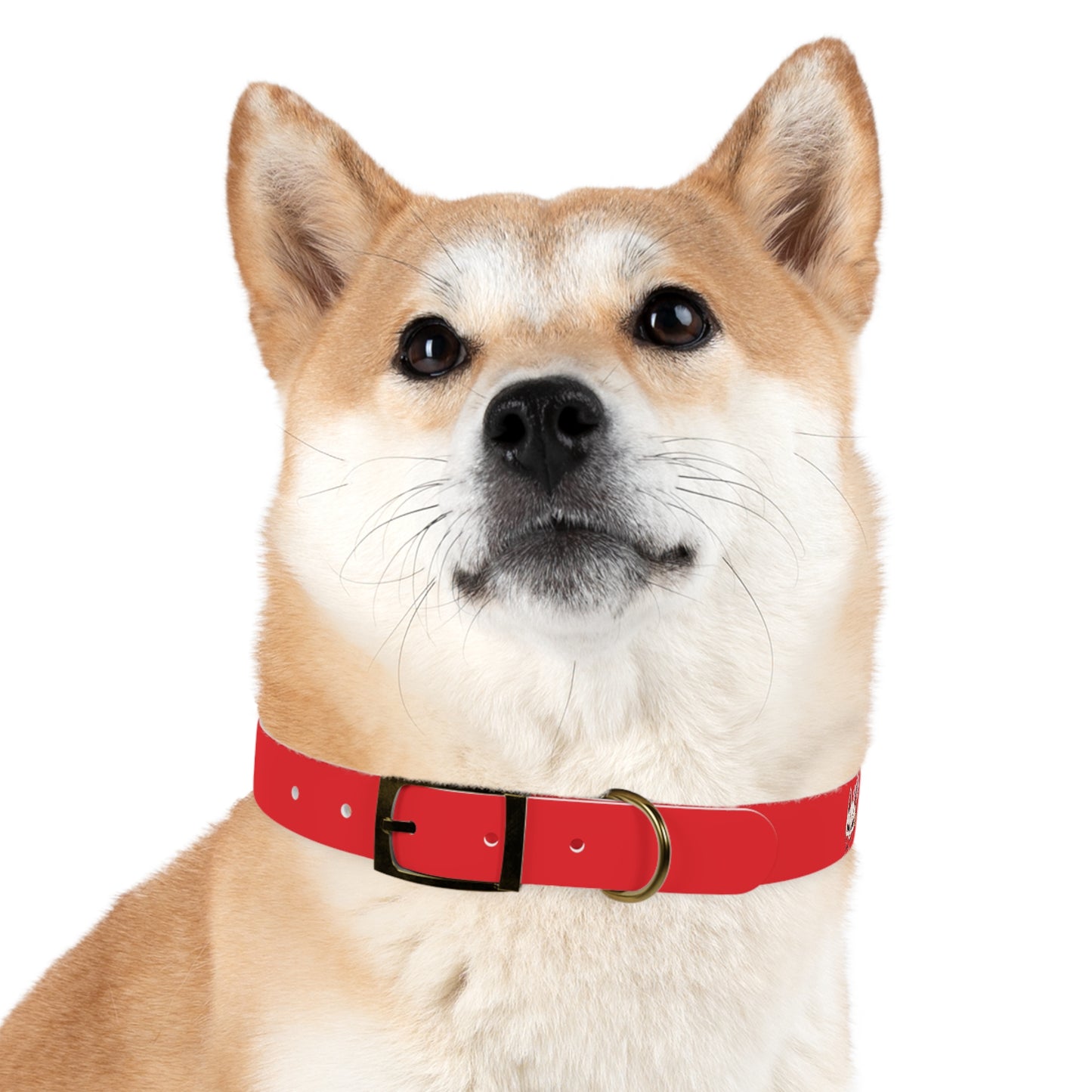 Red Kitsune Dog Collar