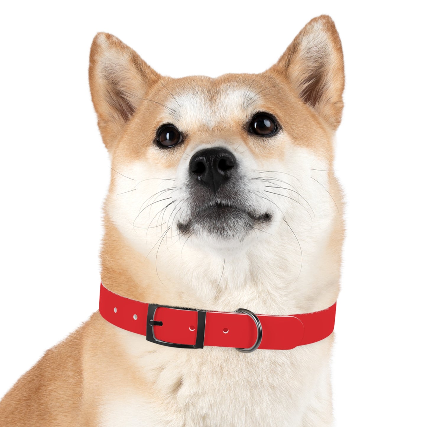 Red Kitsune Dog Collar
