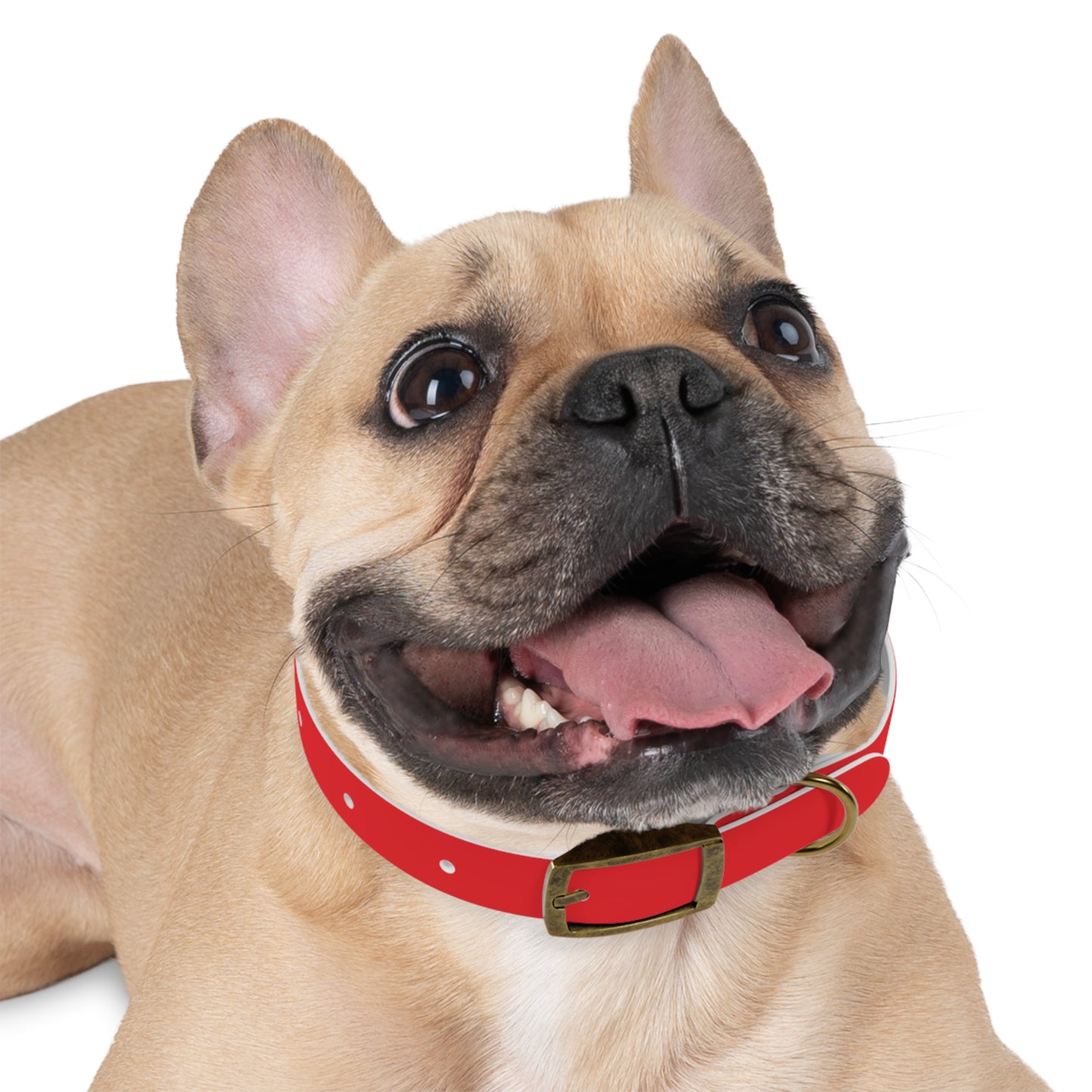 Red Kitsune Dog Collar