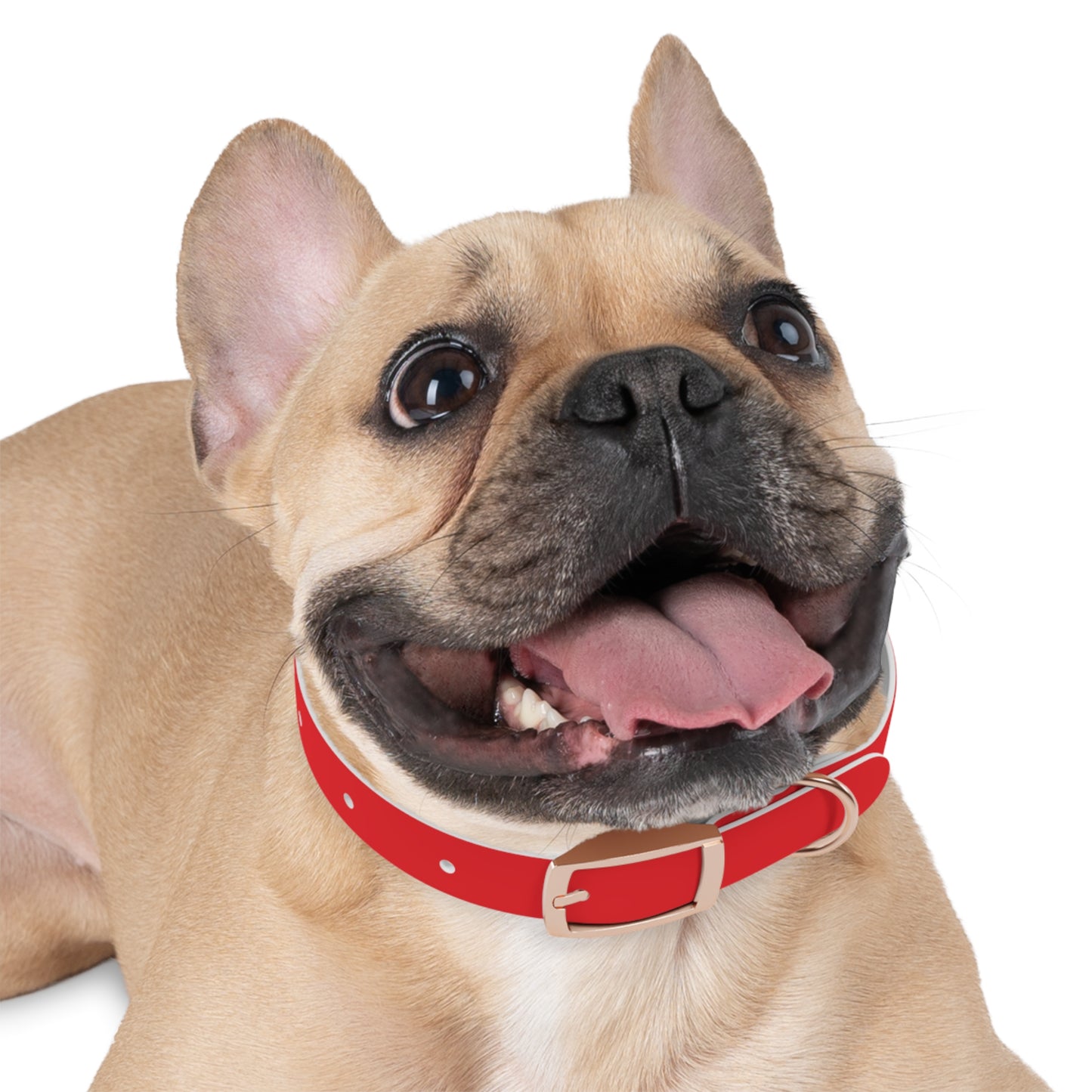 Red Kitsune Dog Collar