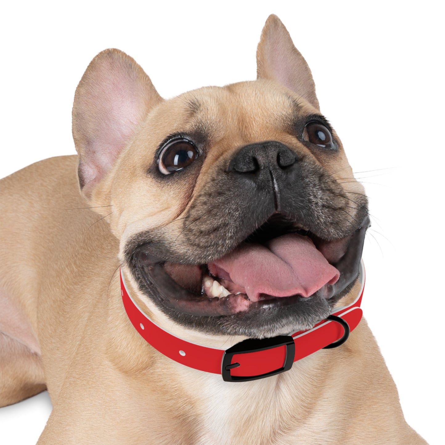 Red Kitsune Dog Collar