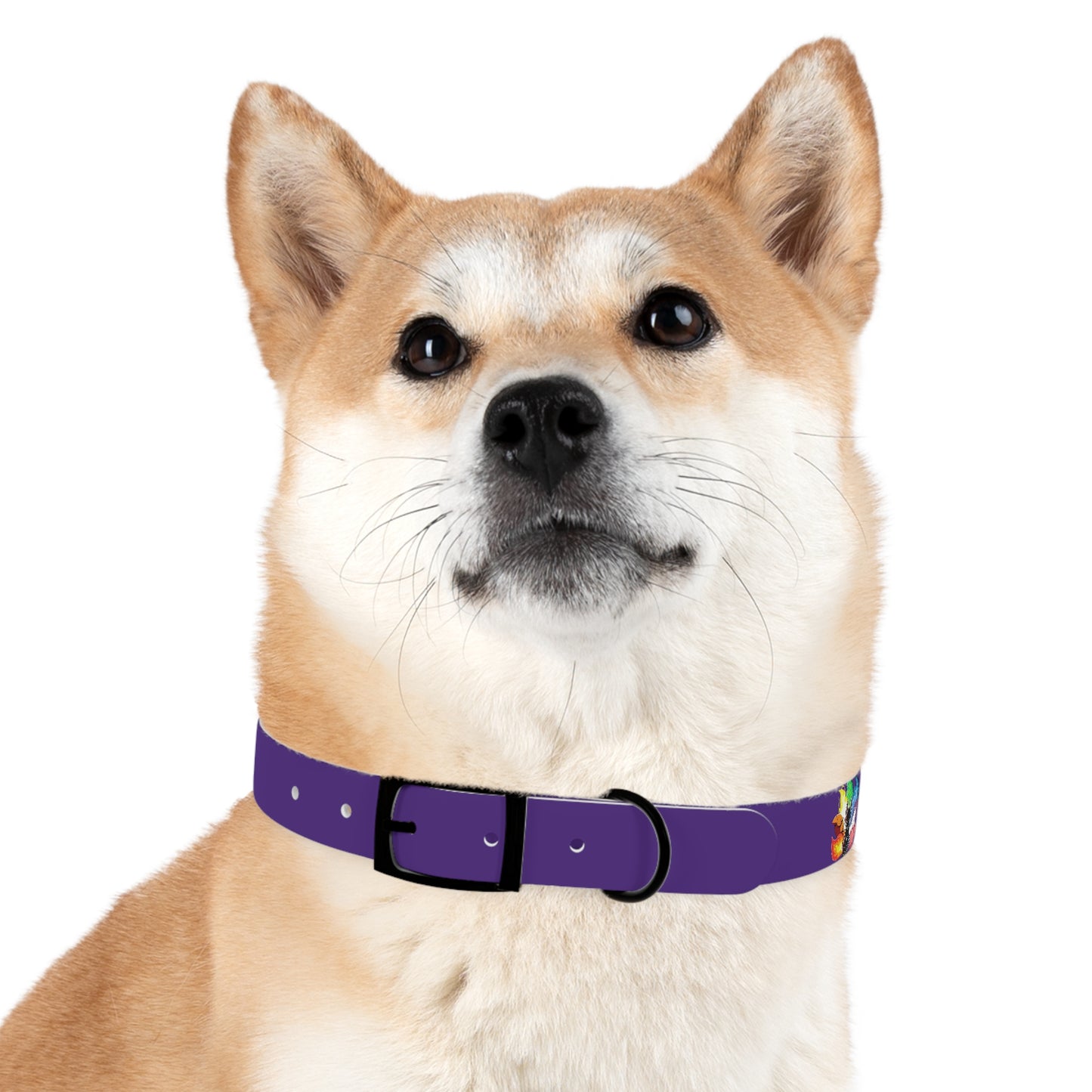 Ninetailed fox Dog Collar