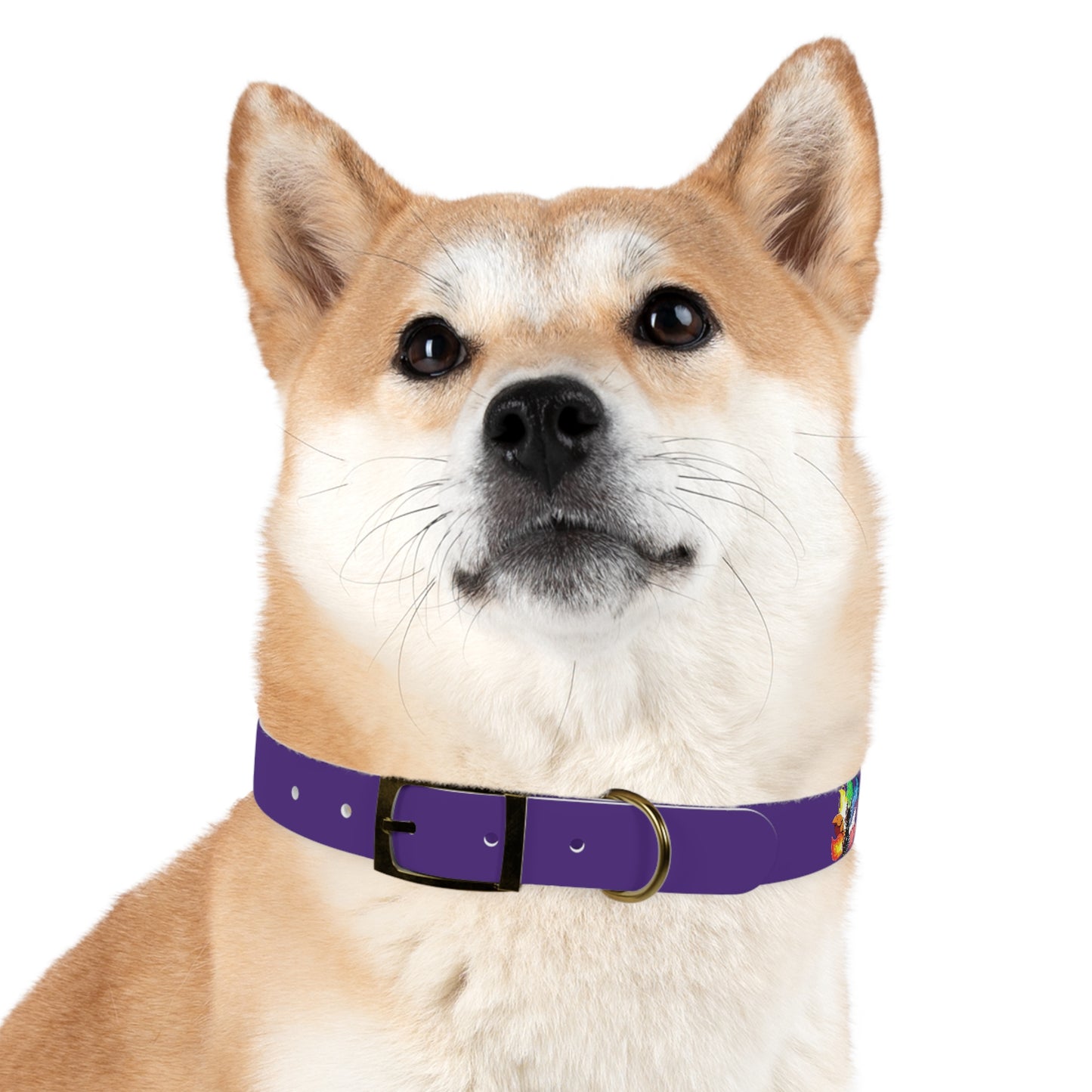 Ninetailed fox Dog Collar