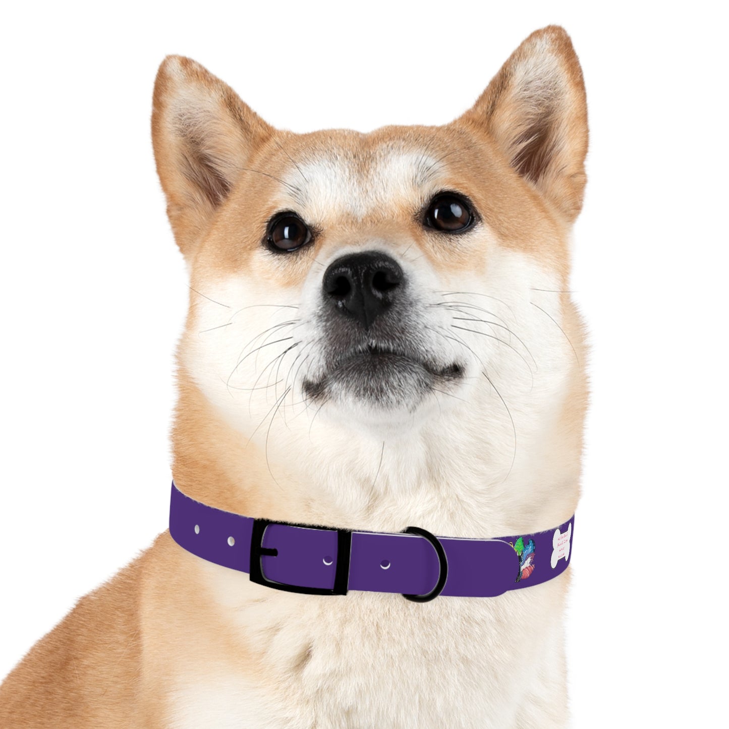 Ninetailed fox Dog Collar