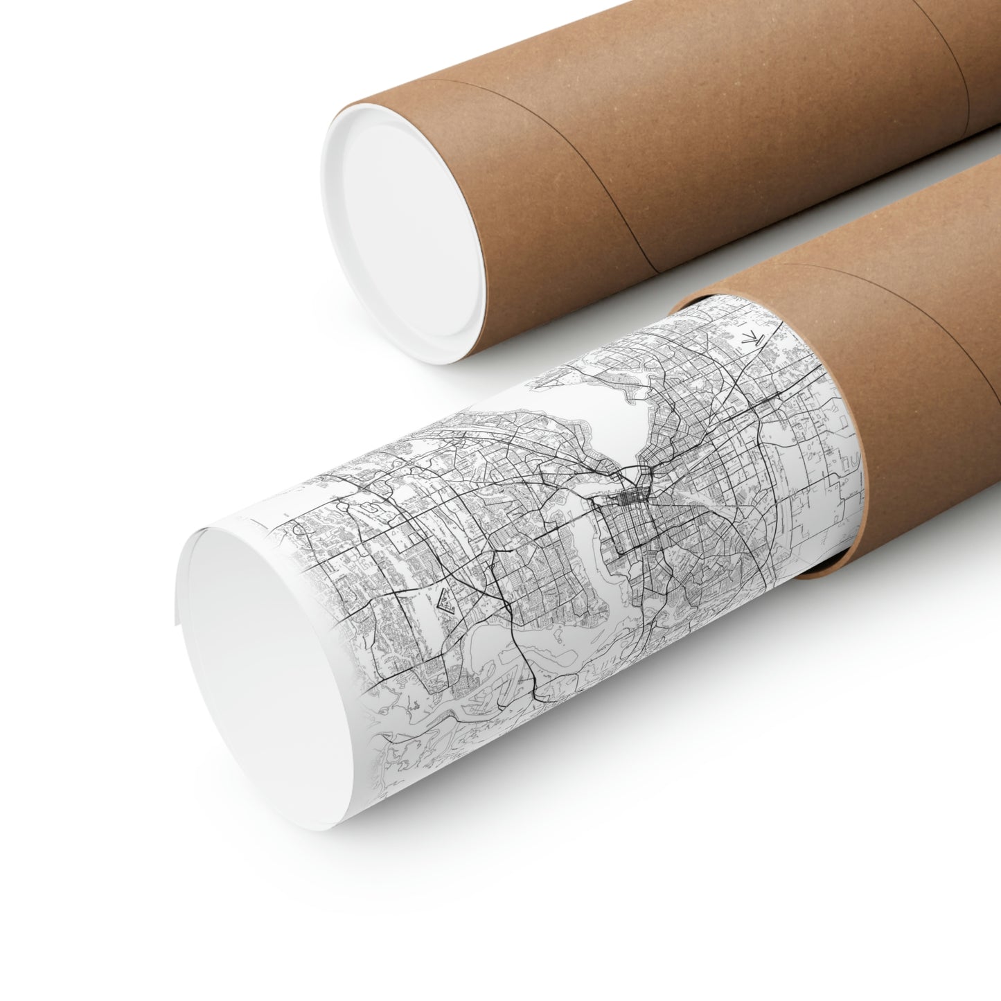 Premium Matte Vertical Posters