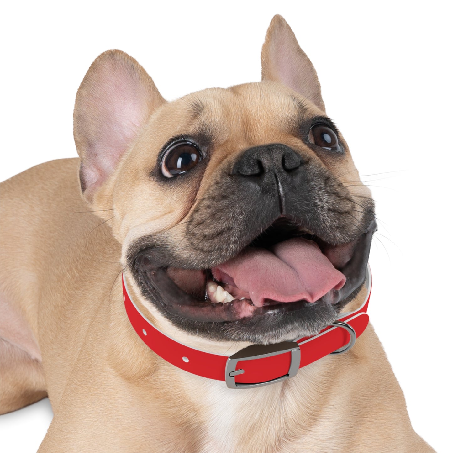 Red Kitsune Dog Collar