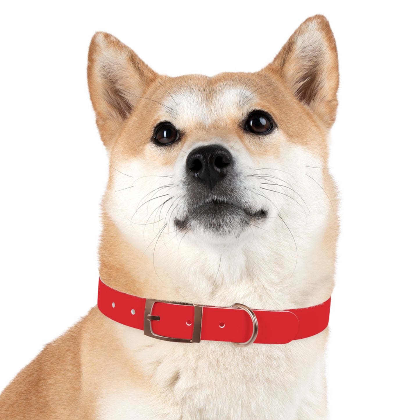 Red Kitsune Dog Collar