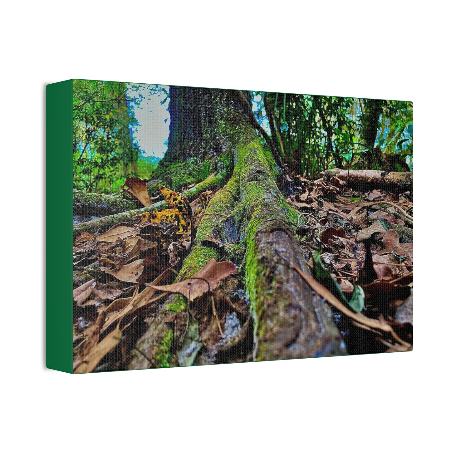 Nature Canvas Stretched, 1.5''